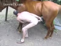 [ Zoo XXX ] Man desires for sodomy